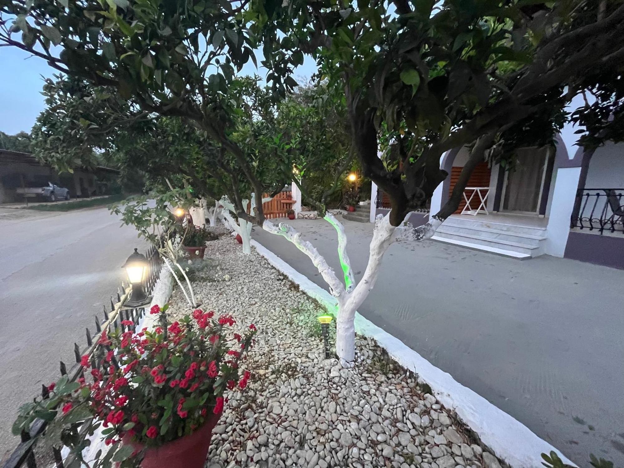 Nikos Studios Keri Ngoại thất bức ảnh